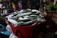 Stok Ikan di Palembang Memadai Jelang Lebaran, tetapi Harga Naik Tipis