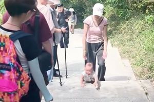 Viral Bayi 9 Bulan Merangkak Ikut Ortu Naik Gunung, Ayah-Ibu Tuai Pujian
