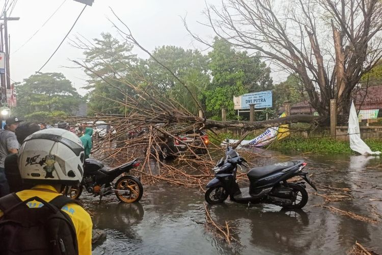 Pohon tumbang menimpa mobil di Jalan Aria Putra, Ciputat, Tangerang Selatan, Rabu (29/9/2021).