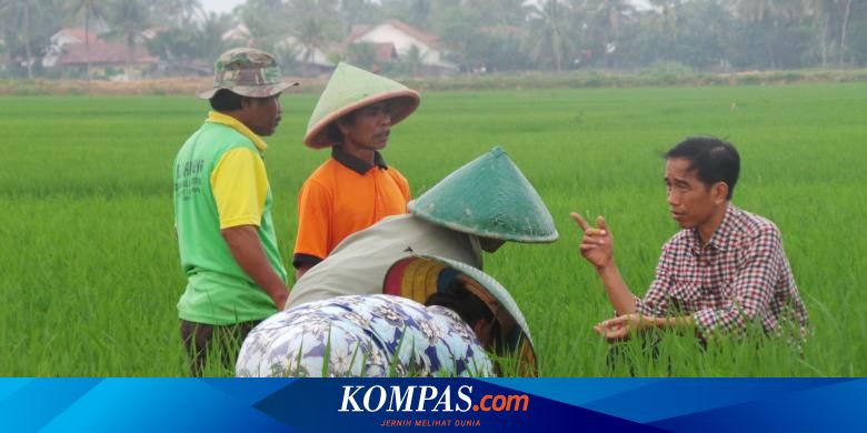Petani Terbebani Pungutan Liar Sektor Pertanian Perlu Revolusi Mental