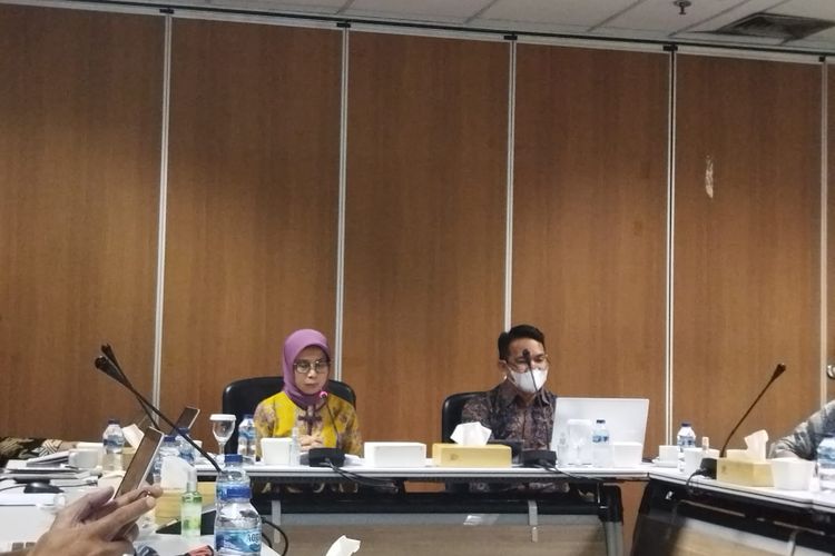 Direktur Utama Badan Layanan Umum (BLU) Pusat Investasi Pemerintah (PIP) Ririn Kadariyah dalam konferensi pers di Kantor PIP, Jakarta, Selasa (31/1/2023). 