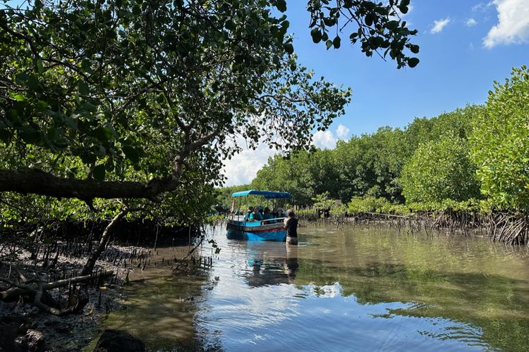 Kawasan mangrove di Taman Hutan Raya (Tahura) Ngurah Rai, Pamogan, Denpasar Selatan, Bali pada Kamis (19/9/2024) siang.