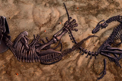 Peneliti Ungkap Bukti Duel Maut yang Terjadi pada Dinosaurus 