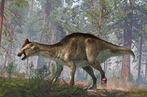 Dinosaurus Punya Tumor dan Tulang Ekor Patah, Tapi Bisa Bertahan, Kok Bisa?