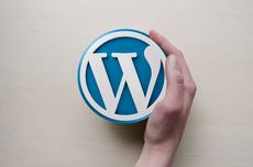 Jutaan Website Rawan Dibajak akibat "Bug" Plugin Wordpress