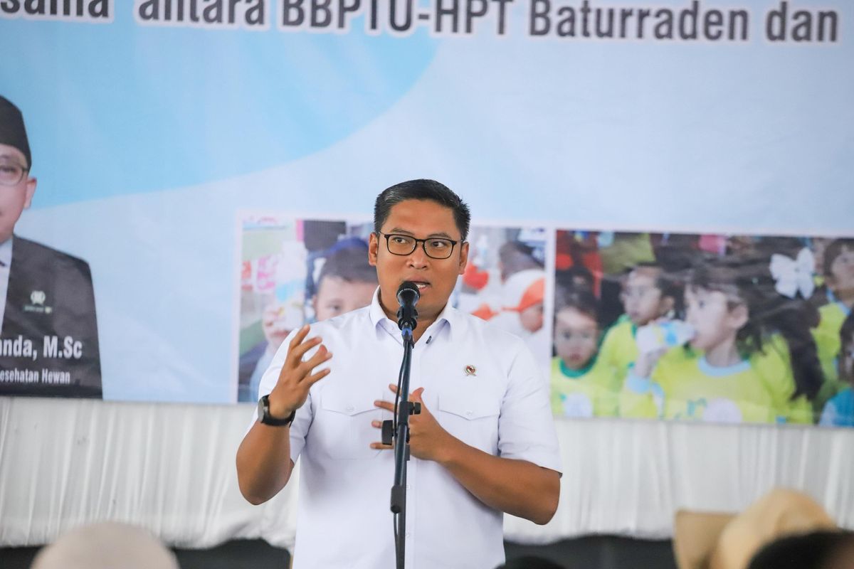 Wakil Menteri Pertanian (Wamentan) Sudaryono.