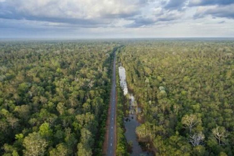 Jalan Trans Papua