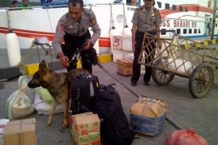 salah satu anjing pelacak milik Polda Sultra yang sedang memeriksa barang bawaan para penumpang di pelabuhan kapal cepat Kolaka.