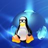 Kata Google, Linux Lebih Aman Dibanding Windows atau MacOS