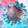 Varian Virus Corona XE Lebih Menular dari Omicron BA.2, Ini Kata Satgas Covid-19