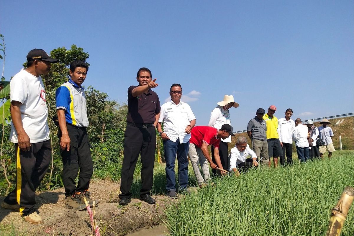 Metode Bamele mampu hasilkan keuntungan ganda bagi petani bawang merah di Nganjuk, Jawa Timur.