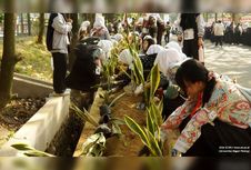 UM Libatkan Mahasiswa Baru Tanam 2.000 Sansevieria di Kampus