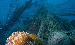 'Ghost Gear' Rugikan Miliaran Rupiah dan Ancam Keberlanjutan Laut