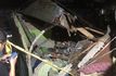 Rumah Warga di Bogor Tiba-tiba Ambruk Saat Penghuninya Sedang Nonton TV