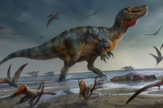 Misteri Fosil T-rex, Populasi Capai 1,7 Miliar tapi Hanya Ratusan yang Ditemukan, ke Mana Sisanya?