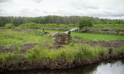 Bantah Food Estate di Kalteng Gagal, Petani di Pulang Pisau: Justru Sejahterakan Masyarakat