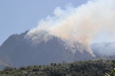 Hutan TNBTS di Desa Argosari Lumajang Terbakar