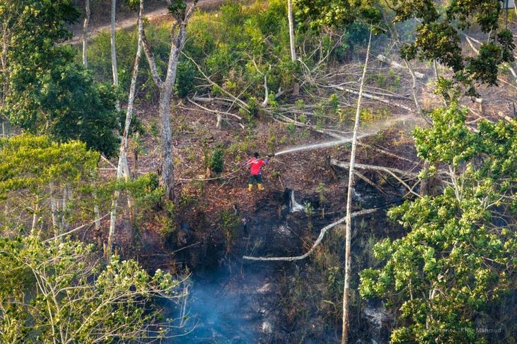Otorita IKN Tindak Tegas Pelaku Karhutla, Satu Perusahaan Perkebunan Kena Sanksi