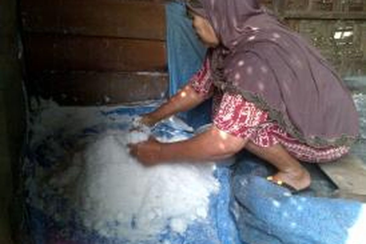 Mahalnya bibit garam yang saat ini dijual Rp.71.000 per zak mempengaruhi minimnya penghasilan petani garam di Desa Tanoh Anoe, Kecamatan Jangka, Kabupaten Bireuen, Aceh. DESI
