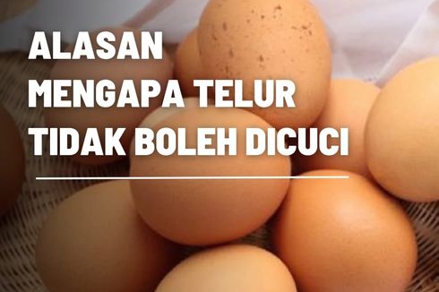 Alasan Mengapa Telur Tidak Boleh Dicuci 