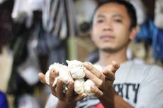 Harga Bahan Pokok Kamis 5 September 2024, Harga Bawang Putih Bonggol Naik