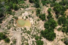 2 Pasukan Garda Nasional AS Ditembak di Dekat Gedung Putih, Pelaku Ditangkap