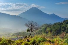 Gardu Pandang Tieng Kejajar Dieng: Harga Tiket, Lokasi, dan Jam Buka