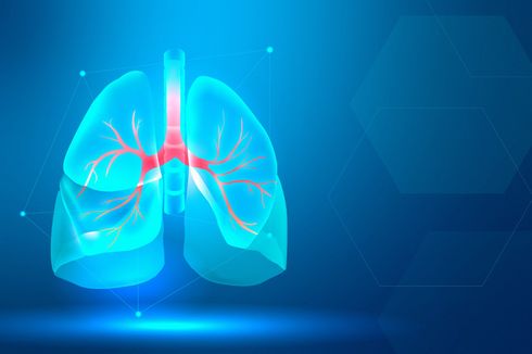 7 Penyakit pada Organ Alveolus