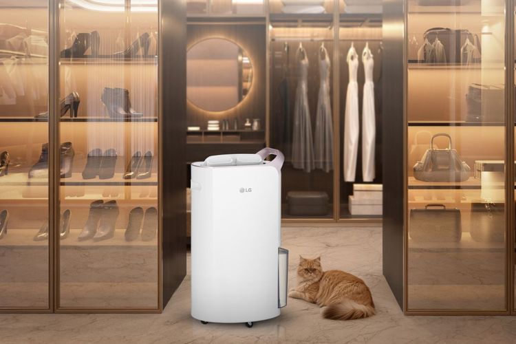 Ini Cara Memilih Dehumidifier untuk Atasi Jamur, Bau Apek, dan Udara Lembap di Rumah