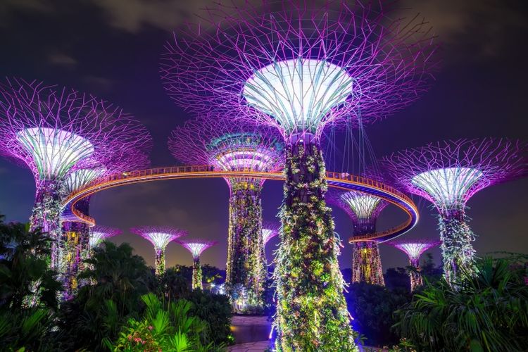 Pemandangan Supertree Grove di Gardens By The Bay yang begitu indah di kala malam