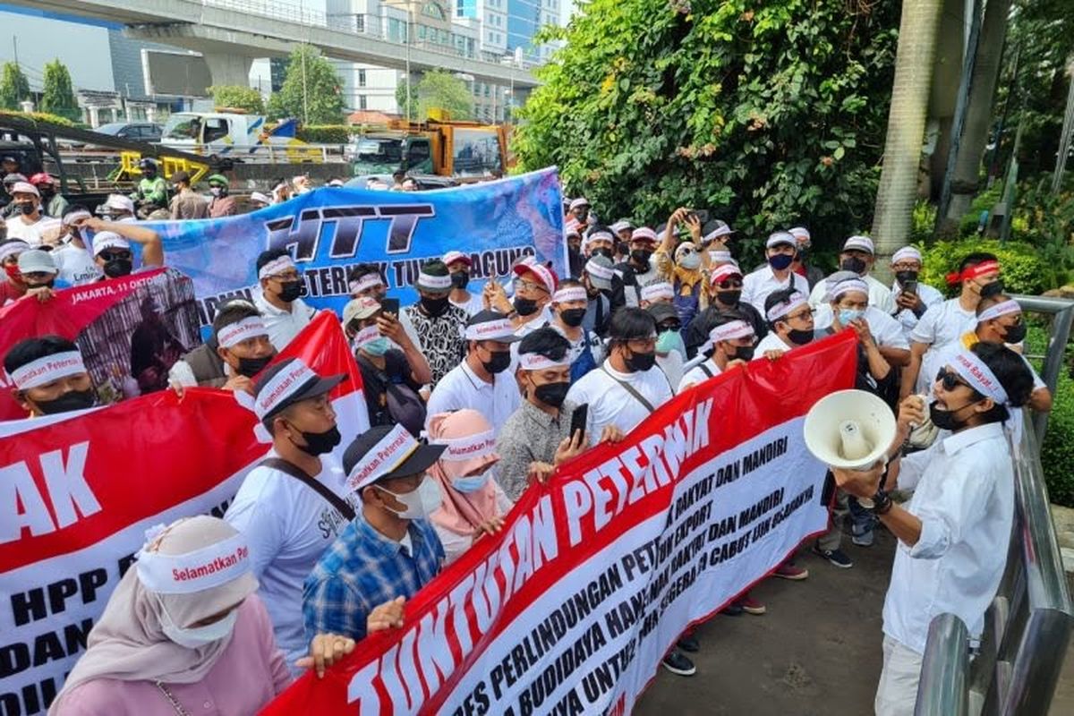 Ratusan peternak ayam dan itik bersama Badan Eksekutif Mahasiswa (BEM) dari empat universitas menggelar aksi unjuk rasa di sejumlah lokasi di Jakarta untuk menuntut kenaikan harga telur, Senin (11/10/2021).