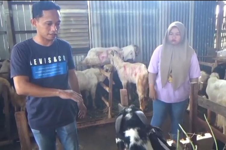 Pedagang Kurban di Pasuruan Tawarkan Antar dan Penitipan Gratis