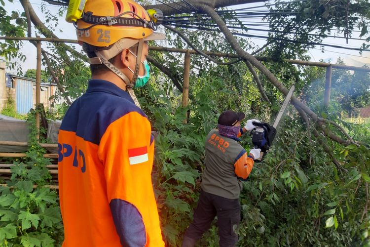 Tim dari BPBD Kota Batu melakukan penanganan dan pembersihan material dahan patah yang jatuh ke jalan dari salah satu pohon di Jalan Dewi Sartika, Kota Batu pada Senin (17/1/2022).