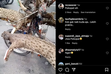 Video Pengendara Motor Pakai Ornamen Satwa Langka, Netizen Meradang