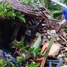 Longsor Terjang Caringin Sukabumi, Mushala Hancur, 2 Rumah Rusak, Ada Retakan Tanah di Areal Persawahan