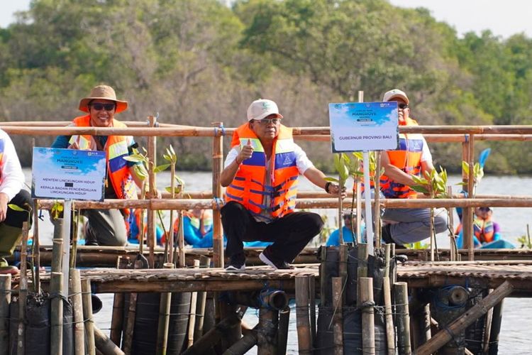 Perkuat Ekosistem Pesisir Bali, Gubernur Koster Cetuskan Gerakan Tanam Mangrove Setiap Bulan
