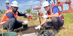 Sambut HUT RI, Pelindo Petikemas Tanam 1.500 Pohon di Area Terminal