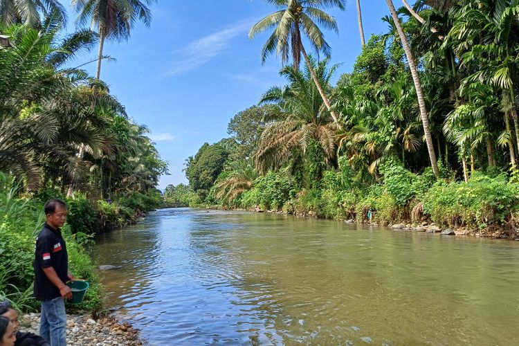 Penampakan Sungai Garoga yang ada di Desa Garoga, Batang Toru, Tapanuli Selatan, Sumatera Utara, Rabu (5/6/2024).