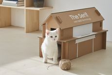 Kurangi Limbah, Samsung Desain Kardus Rumah Kucing untuk Produk TV