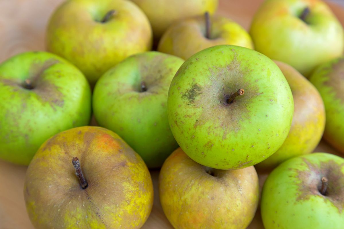 Contih produk buah imperfect. Buah-buahan sepetri ini biasanya tak lolos untuk disajikan di etalase supermarket dan terbuang sia-sia. Bahkan berisiko menjaid limbah. Padahal, buah-buahan ini emmeiliki kandungan gizi yang sama.