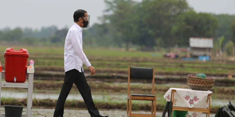 Bagaimana Bisa? Mengenal Proyek Sawah yang Dikunjungi Jokowi Saat Puncak Demo