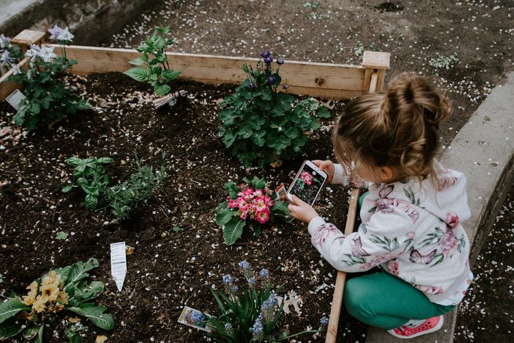 Ajak anak berkebun dengan menanam jenis tanaman yang mudah tumbuh seperti kentang dan wortel.