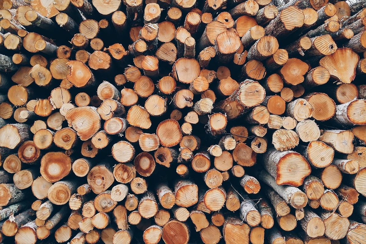 Ilustrasi kayu. 