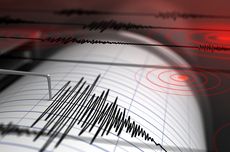 [KLARIFIKASI] Gempa Magnitudo 4,9 di Jayapura Tak Berpotensi Tsunami