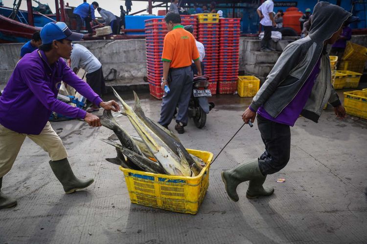 Pekerja memindahkan ikan tangkapan dari kapal untuk dilelang di Tempat Pelelangan Ikan Muara Angke, Jakarta Utara, Rabu (10/1/2018). Kementerian Kelautan dan Perikanan menaikan target perikanan tangkap tahun 2018 sebesar 9,45 juta ton dari target tahun sebelumnya yang hanya sebesar 7,8 juta ton.