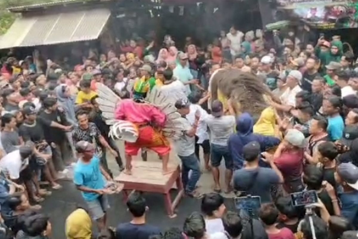 Ribuan orang hadiri hajatan sunatan kucing di Banyuwangi 