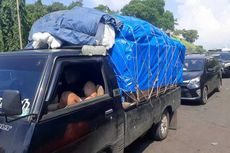 Terjebak Macet 10 Jam di Pelabuhan Merak, Sopir Truk Khawatir Muatan Kentang Busuk