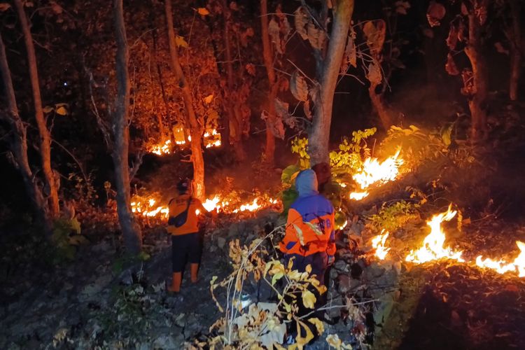 4 Hektar Hutan Jati di Situbondo Terbakar, Api Nyaris Merambat ke Jalan Nasional