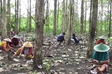 Jaksa Gadungan Berpangkat ‘Bintang Satu’ Ditangkap: Simpan Senpi Ilegal dan Tipu Korban Rp 310 Juta