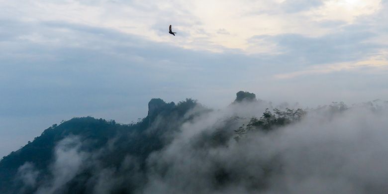 Samudera kabut di Puncak Suroloyo, Perbukitan Menoreh